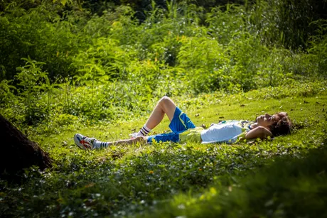 A person resting in tall summer grass